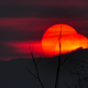 Illustration for article titled 166 Sunrises and Sunsets